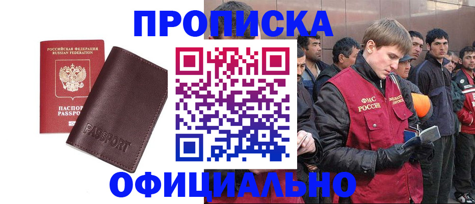 прописка штамп в Лузе